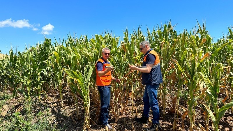 Defesa Civil Estadual atua para minimizar os efeitos da estiagem